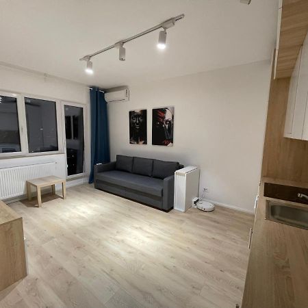 בוקרשט Amethyst Luxury Apartment Palace מראה חיצוני תמונה